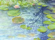 Reflections of Nature