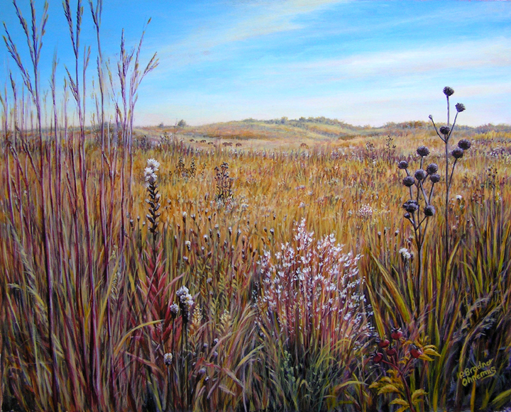 Autumn prairie landscape at Nachusa Grasslands showing tall grasses and natural prairie scenery