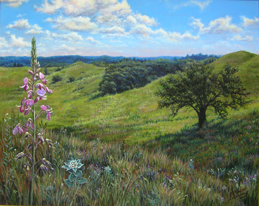 Badger Ridge Trail - prairie artwork by Pam Ohnemus