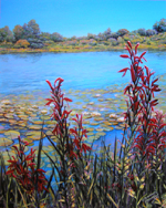 Cardinal Flowers