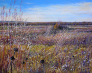 Grassland