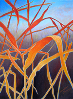 Lines of Grass