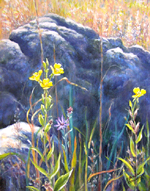 Outcrop